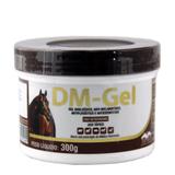 DM Gel 300g Anti-inflamatório - Vetnil