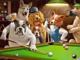 Dogs: Bilhar - Sarnoff Tela Grande Para Quadro - Santhatela