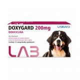 Doxygard 200 mg Antimicrobiano para cães e gatos Labgard 12 comprimidos