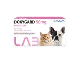 Doxygard 50 mg Antimicrobiano para cães e gatos Labgard 12 comprimidos