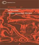 Druidas, Os - Vol 27 - Perspectiva