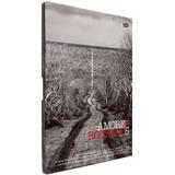 DVD Amores Roubados - Globo