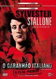 DVD O Garanhão Italiano - Sylvester Stallone - Cult line