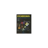Ecocardiografia Princípios e Aplicações Clínicas - 2 volumes - Thieme revinter