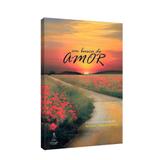 Em Busca do Amor - Farol