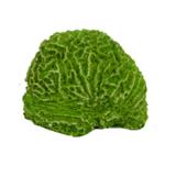 Enfeite Para Aquário Coral Cérebro - Aquária