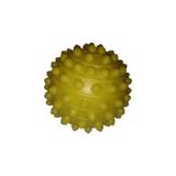 Esfera Fisioterápica Fisiopauher Ortho Pauher - Único