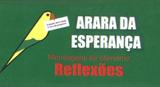 Esperança (Arara) - Ed. otimismo