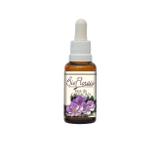 Essência Floral Fase da Gestação - Bio Florais
