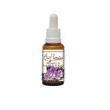 Essência Floral Momento Parar de Fumar - Bio Florais