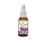 Essência Floral Sensação de Perfeccionismo - Bio Florais