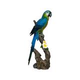 Estátua Arara Azul no Galho Top - Goods br