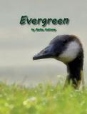 Evergreen - Sweetgeorgieannsbooksandwhatnot