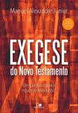 Exegese do Novo Testamento - Vida nova