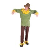 Fantasia Espantalho - Magico de Oz - The wizard of oz