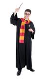 Fantasia Harry Potter Adulto Sulamericana