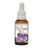 Fase da Gestação - Bio Florais - 37 ml