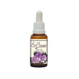 Fase da Gestação - Bio Florais - 37 ml