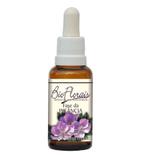 Fase da Infância - Bio Florais - 37 ml