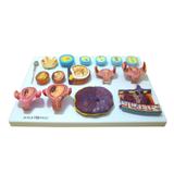 Fertilização Humana e Embriogenia Inicial - Anatomic