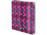 Fichário/Caderno Argolado Escolar DAC - Dudu Bertholini 2390AZ Rosa e Azul