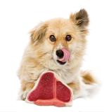 Filé Bife 12 cm Pet Dog Mordedor Brinquedo Cachorro* - Bom amigo pet