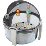 FISHER-PRICE Cabaninha Tipo Moises do Bebe FFG89 - Mattel