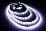 Fita Led 3528 Branco frio 6000K em rolo adesivo com 5 metros IP65 Siliconada - Fwm