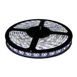 Fita LED 3528 BRANCO FRIO Rolo 5m com fonte 12V 2A - Kit led