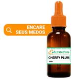 Florais de Bach - Cherry Plum 30ml - Encare seus medos - Extrato flora