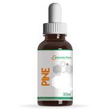 Florais de Bach - Pine 30ml - Descubra a saída para seu sofrimento - Extrato flora