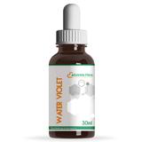 Florais de Bach - Water Violet 30ml - Abra-se para os outros - Extrato flora