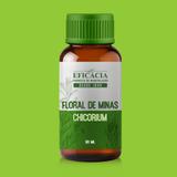 Florais de Minas Chicorium - 30ml - Farmácia eficácia