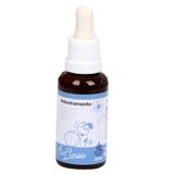 Floral Adestramento BioFlorais 37ml - Bio florais