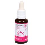 Floral Agressividade BioFlorais 37ml - Bio florais