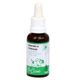 Floral Aversão a Criança BioFlorais 37ml - Bio florais