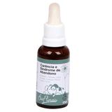 Floral Carência e Síndrome de Abandono BioFlorais 37ml - Bio florais