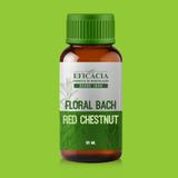 Floral de Bach Red Chestnut - 30 ml - Farmácia eficácia