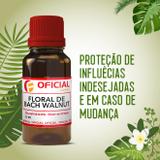 Floral de Bach Walnut 30ml - Oficialfarma