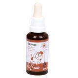 Floral Estresse BioFlorais 37ml - Bio florais