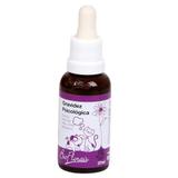 Floral Gravidez Psicológica BioFlorais 37ml - Bio florais