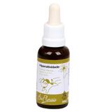 Floral Hiperatividade BioFlorais 37ml - Bio florais