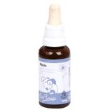 Floral Medo BioFlorais 37ml - Bio florais