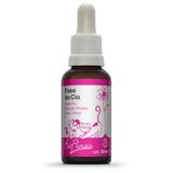 Floral para cães e gatos fase de cio - tratamento flloral auxiliar na fase de cio Bio Florais - Bioflorais