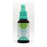 Floral therapi - adolescência e estudos -30ml - Natusaude