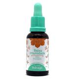 Floral Therapi - Baixa Imunidade - 30ML - Florais
