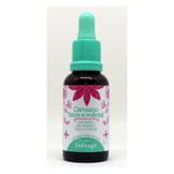 Floral therapi - cansaço físico e mental-30ml - Natusaude
