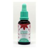 Floral therapi- estimulo da libido -30ml - Natusaude