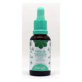 Floral therapi - falta de memoria - 30ml - Natusaude