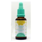 Floral therapi - liderança e sucesso - 30ml - Natusaude